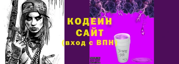 хмурый Богородицк