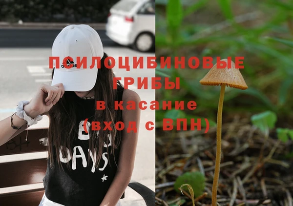 метамфетамин Богданович