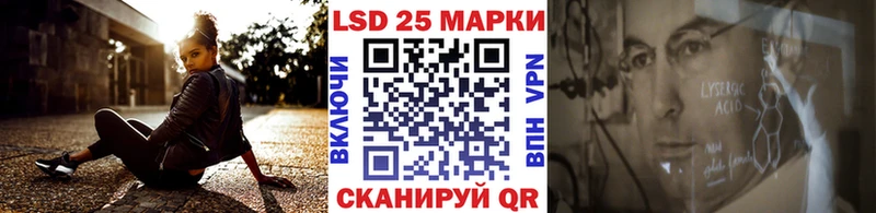 закладка  Озёрск  Наркотические марки 1500мкг 