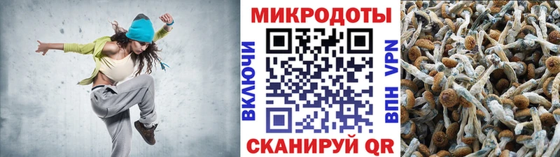Галлюциногенные грибы MAGIC MUSHROOMS  Озёрск 